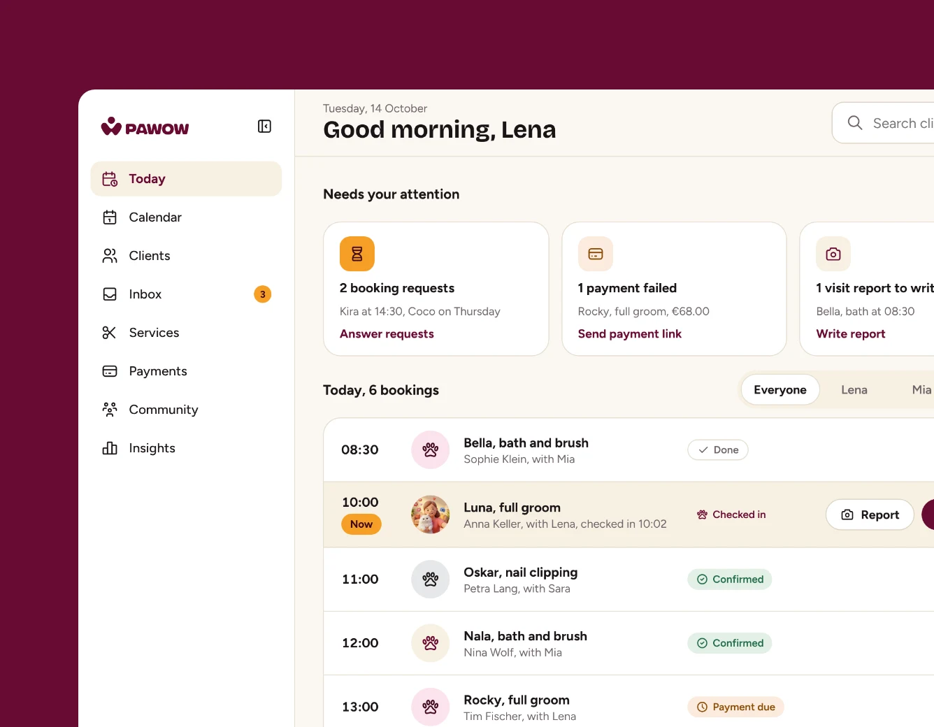 Pawow provider web app, the Today screen